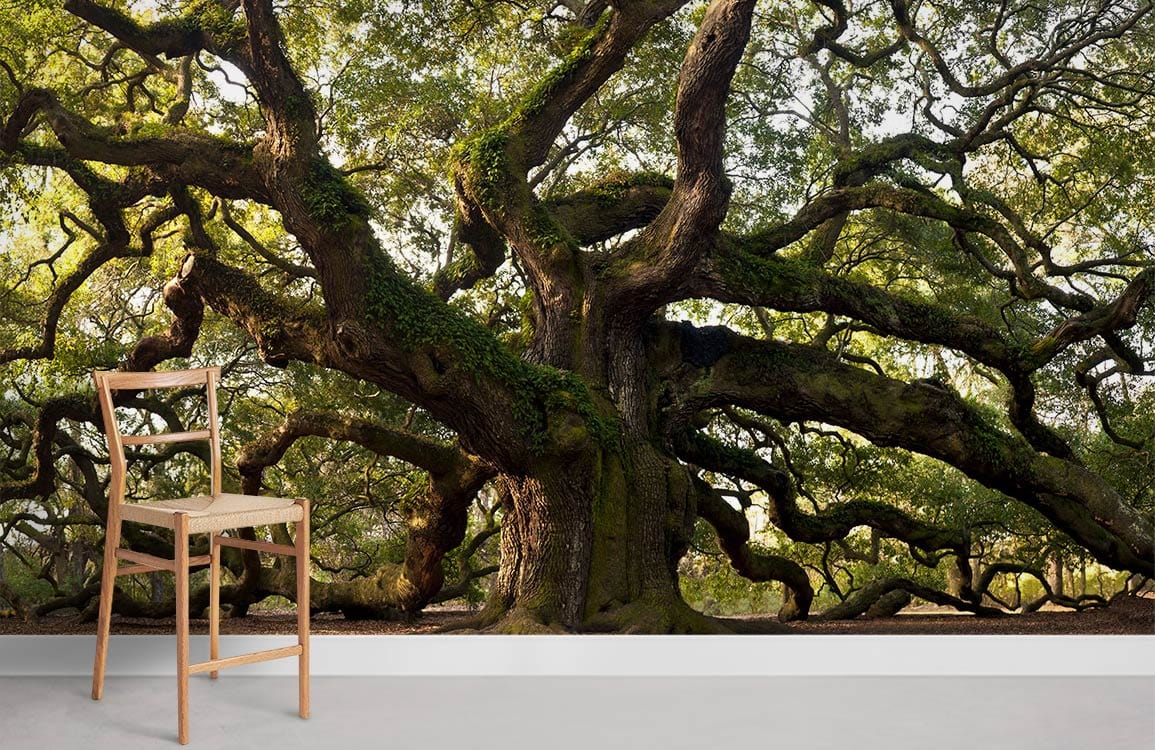 Papier peint mural de grand arbre sinueux - Le meilleur Papier peint panoramique Sur mesure