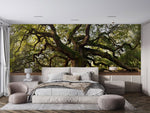 Papier peint mural de grand arbre sinueux - Vignette | Mr Papier Peint