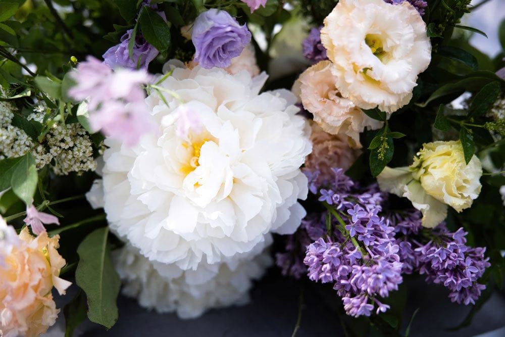 Bouquet luxuriant de fleurs blanches, violettes et crème pour papier peint mural de pivoines