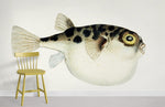 Papier peint mural de poissons antiques - Vignette | Mr Papier Peint