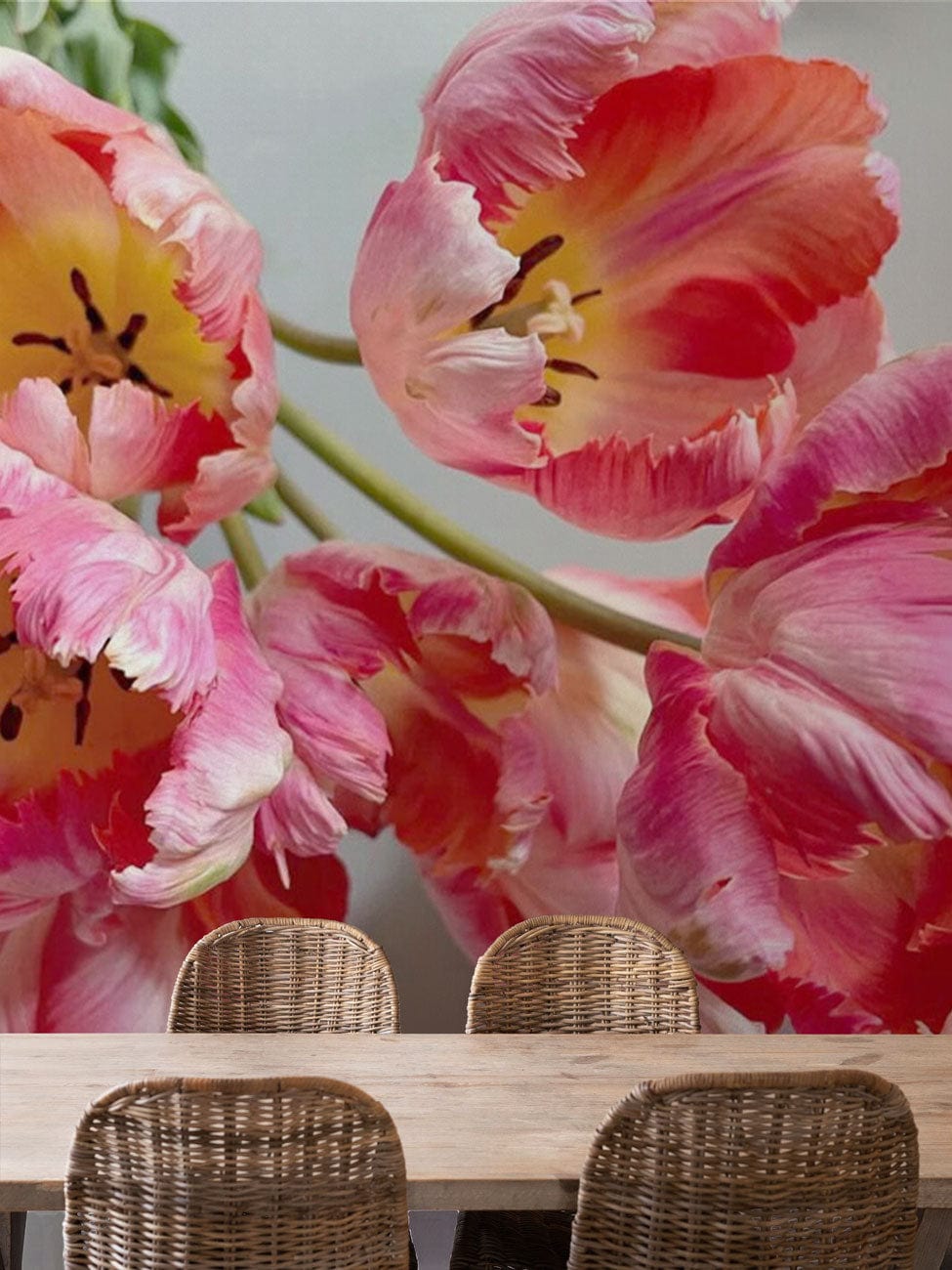 Papier peint mural de tulipes perroquet - Le meilleur Papier peint panoramique Sur mesure