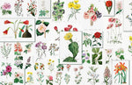 Papier peint mural végétation souffle de nature dans votre intérieur - Vignette | Mr Papier Peint