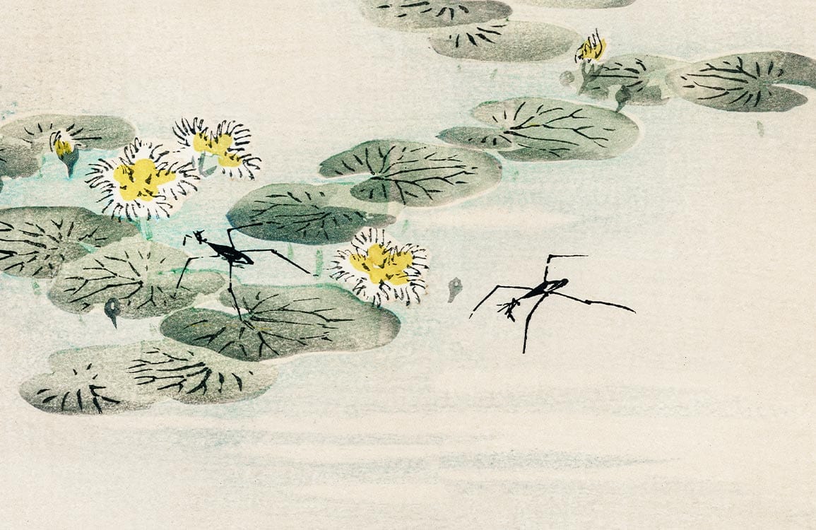 Papier peint mural japonais avec des araignées d’eau sur des nénuphars, décor aquatique