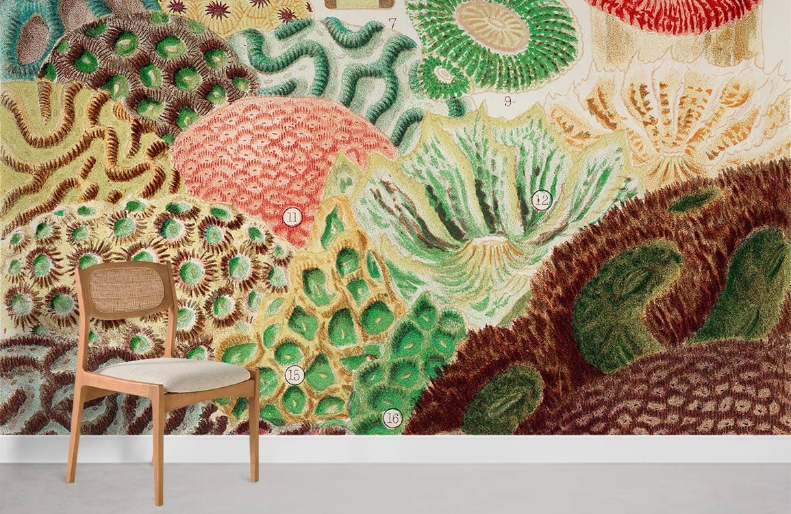 Chaise de salle à manger en osier et bois avec siège rembourré, idéale pour papier peint mural coral
