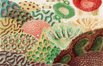 Papier peint mural Grande Barrière de Corail évasion sous-marine - Vignette | Mr Papier Peint