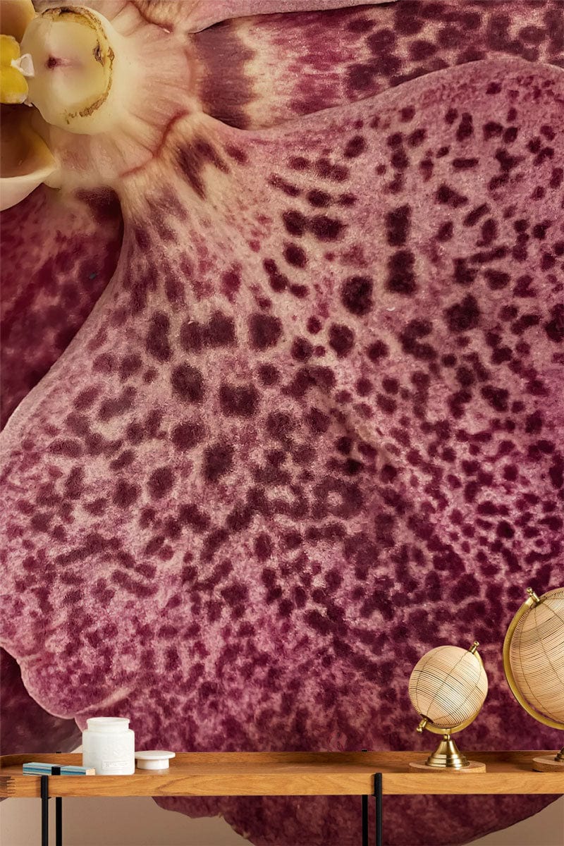 Papier peint mural détaillé d’orchidées - Le meilleur Papier peint panoramique Sur mesure