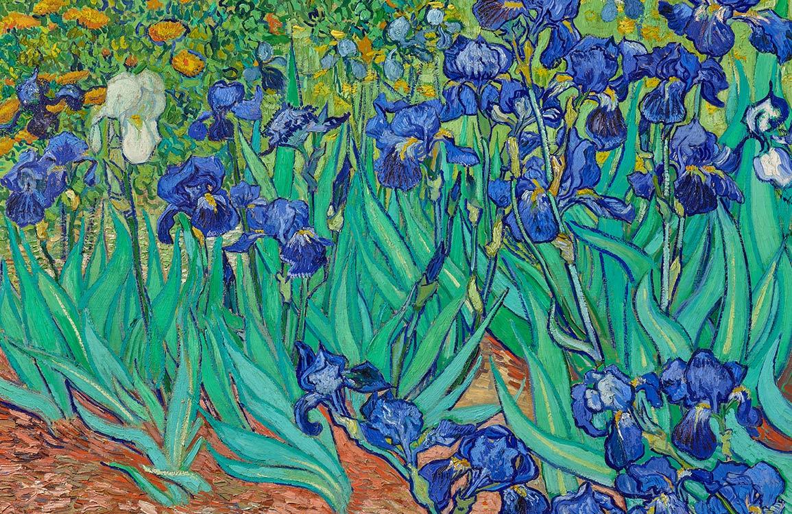 Papier peint mural d’iris - Le meilleur Papier peint panoramique Sur mesure