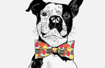 Papier peint mural du Chien Gentleman - Vignette | Mr Papier Peint