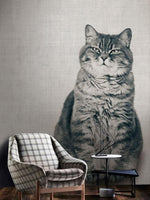 Papier peint mural d'un chat grassouillet et mignon - Vignette | Mr Papier Peint