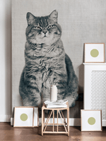 Papier peint mural d'un chat grassouillet et mignon - Vignette | Mr Papier Peint