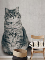 Papier peint mural d'un chat grassouillet et mignon - Vignette | Mr Papier Peint