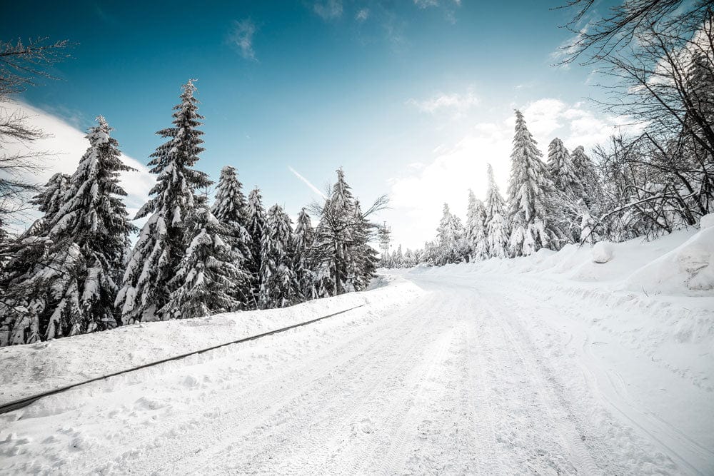 Papier peint mural d’un chemin enneigé d’hiver - Le meilleur Papier peint panoramique Sur mesure