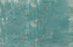 Papier peint mural panoramique ambiance urbaine mur éraflé - Vignette | Mr Papier Peint