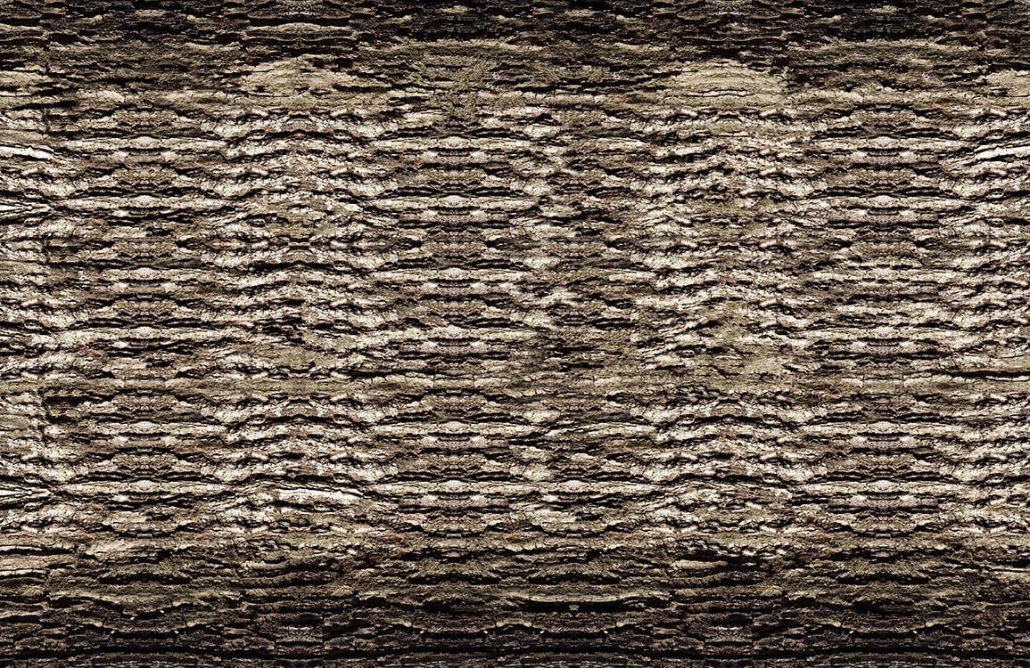 Papier peint mural Écorce Sombre - Le meilleur Papier peint panoramique Sur mesure