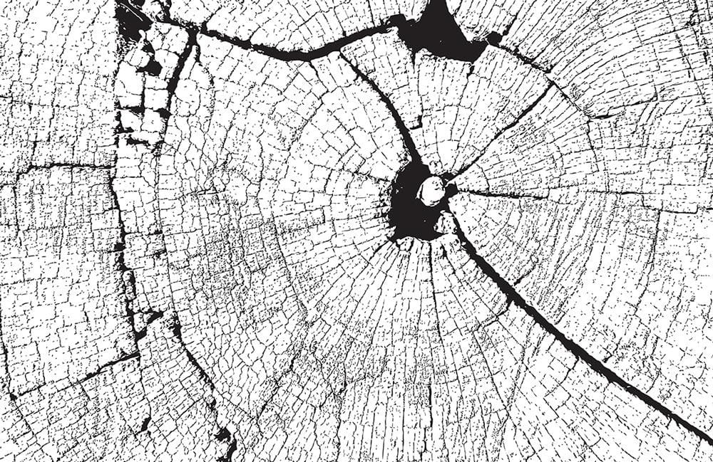 Papier peint mural effet bois ancien - Le meilleur Papier peint panoramique Sur mesure