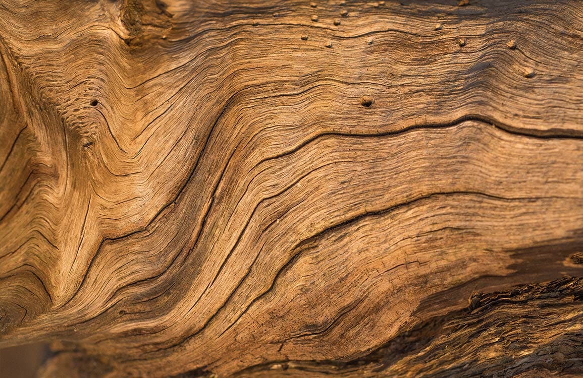 Papier peint mural effet bois naturel - Le meilleur Papier peint panoramique Sur mesure