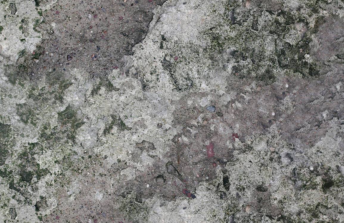 Papier peint mural effet mur de béton avec surface grise texturée et mousse verte