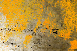 Papier peint mural effet peinture jaune vieilli - Vignette | Mr Papier Peint