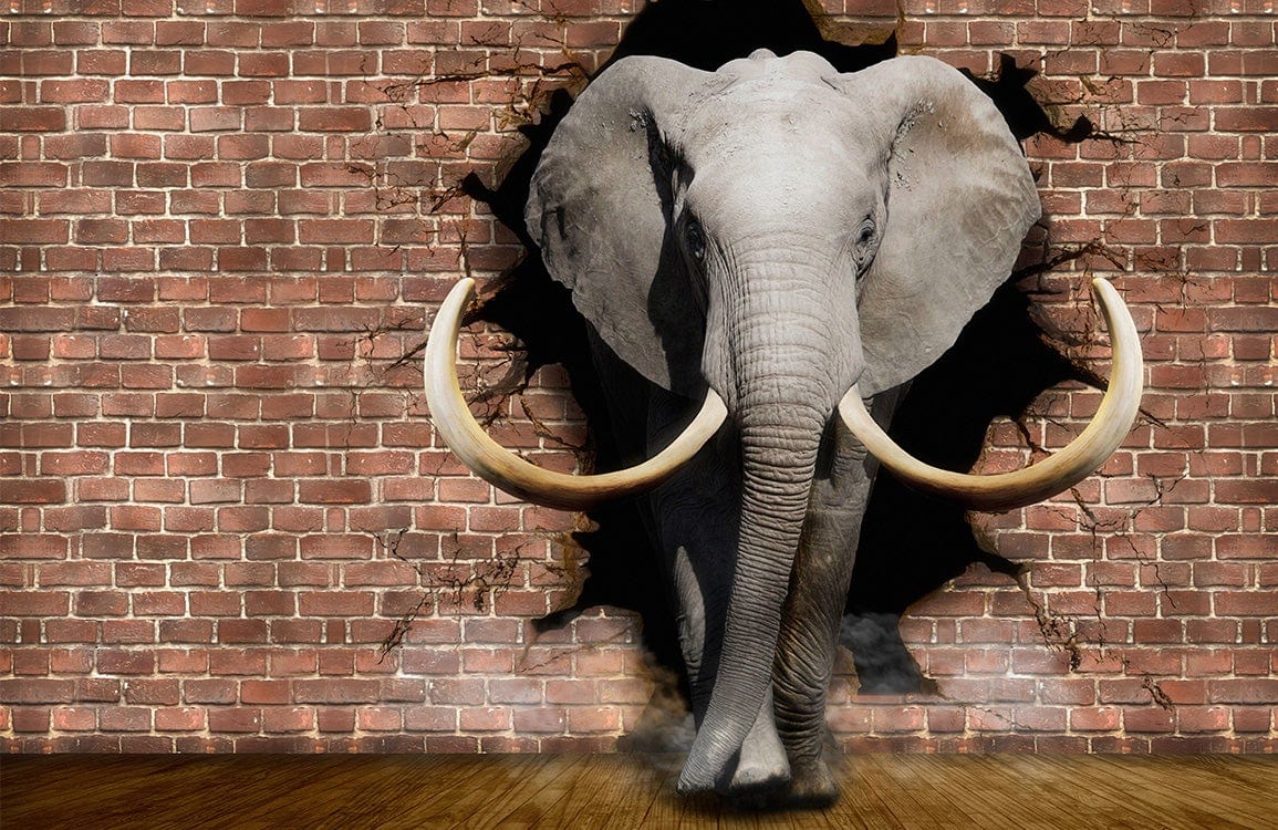 Papier peint mural éléphant 3D - Le meilleur Papier peint panoramique Sur mesure