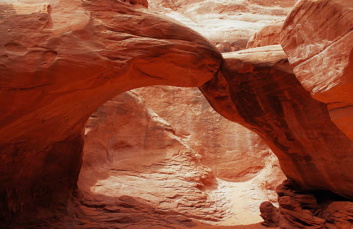 Papier peint mural en forme d’animaux dans un canyon - Le meilleur Papier peint panoramique Sur mesure