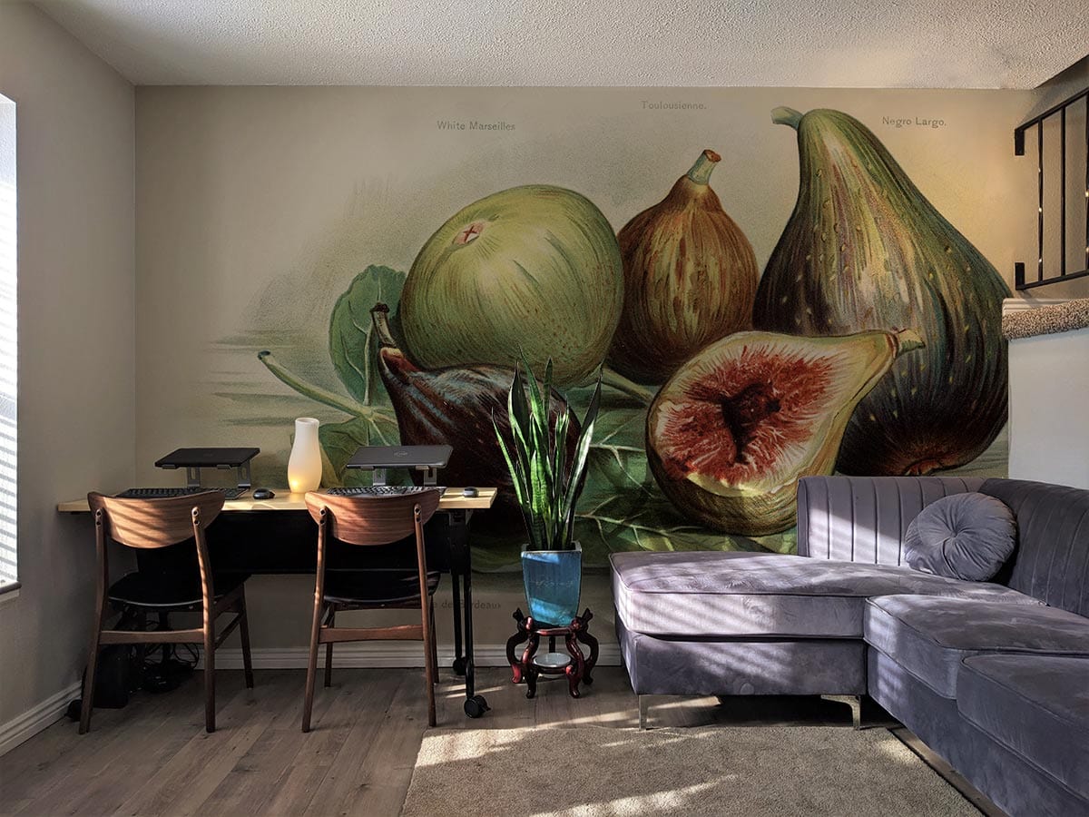 Papier peint mural figues vintage avec illustration botanique de figues entières et tranchées