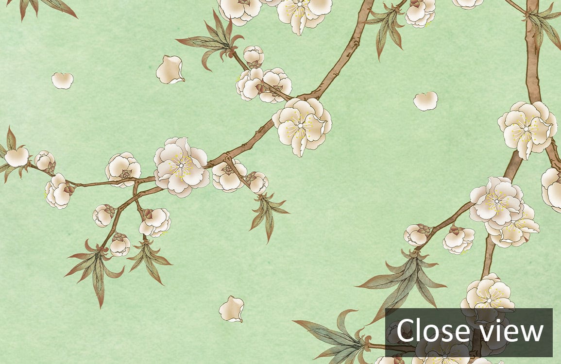 Papier peint mural fleurs avec branches d’arbre en fleurs blanches sur fond vert pâle