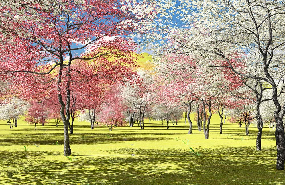 Papier peint mural Fleurs d’Arbres - Le meilleur Papier peint panoramique Sur mesure