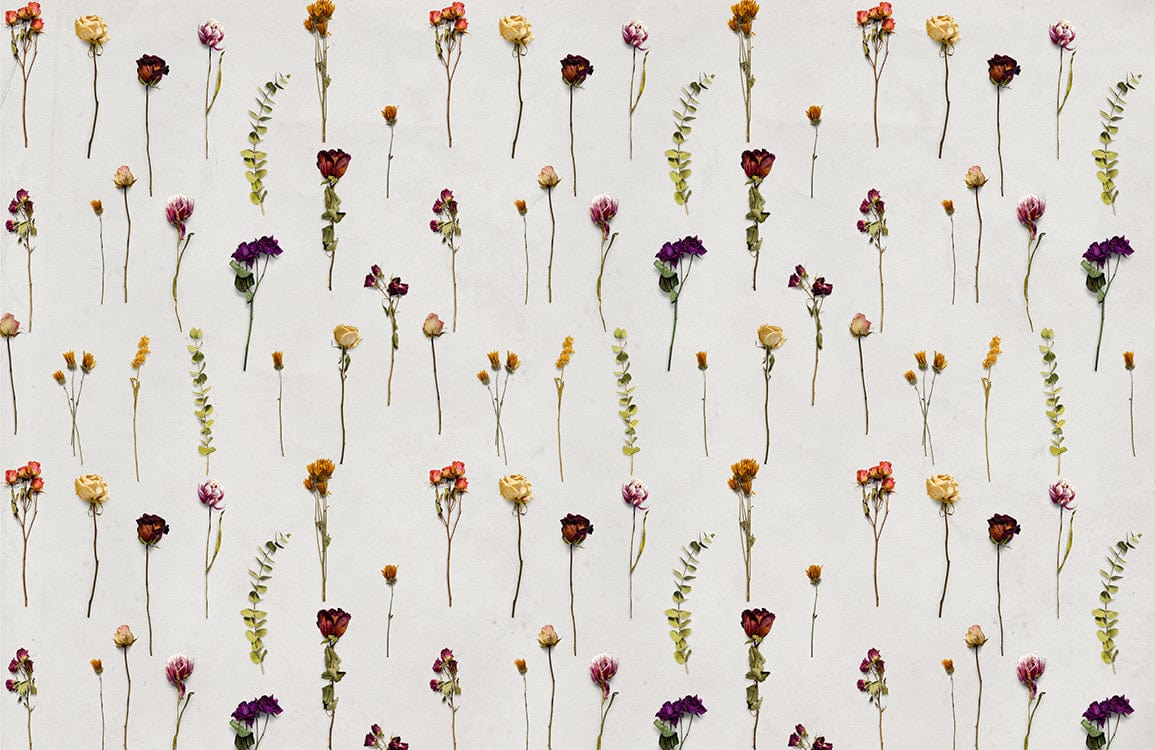 Dessin répétitif de fleurs séchées colorées pour peint mural fleurs Papier peint mural mural fleurs dride