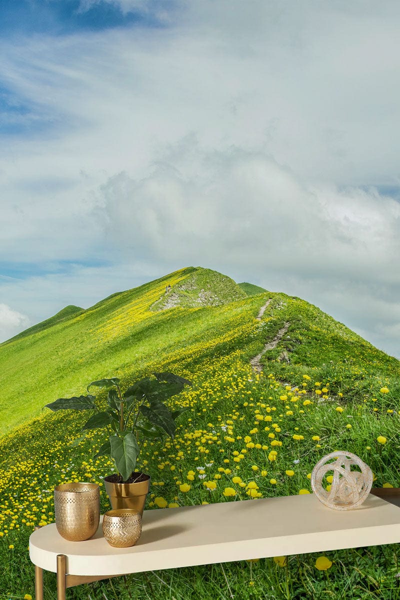 Table basse ovale couleur claire avec pieds métalliques, idéal pour mural fleurs ou peint mural fleurs