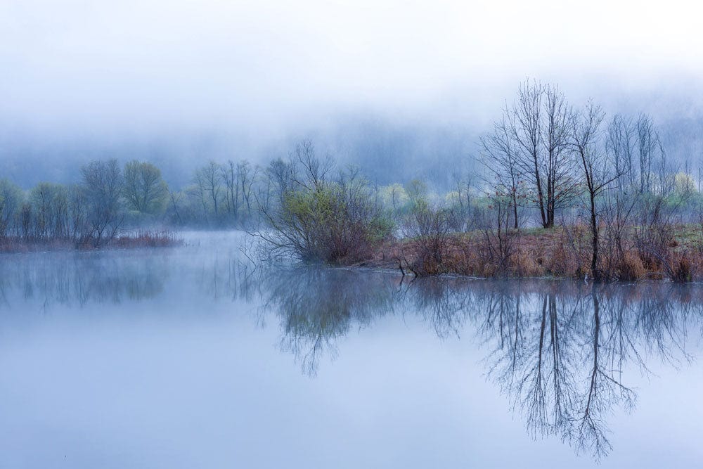 Peint mural forêt avec brouillard aquatique et reflet de arbres sur un lac serein
