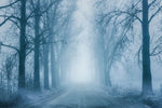 Papier peint mural Forêt dans le Brouillard ambiance mystique et paisible - Vignette | Mr Papier Peint