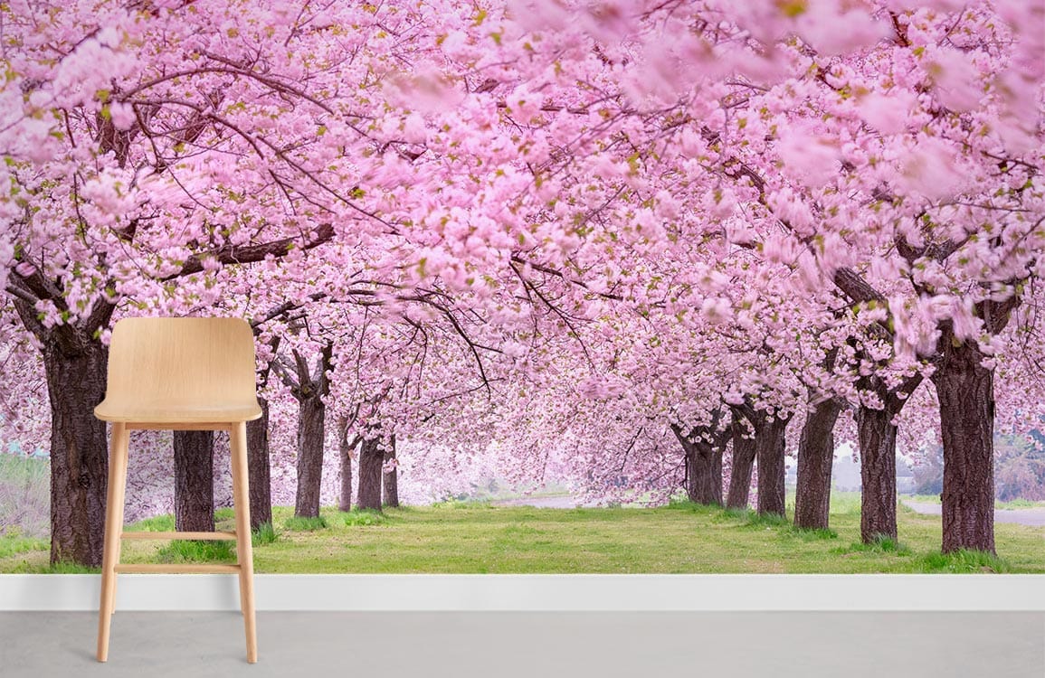 Papier peint mural Forêt de Sakura - Le meilleur Papier peint panoramique Sur mesure