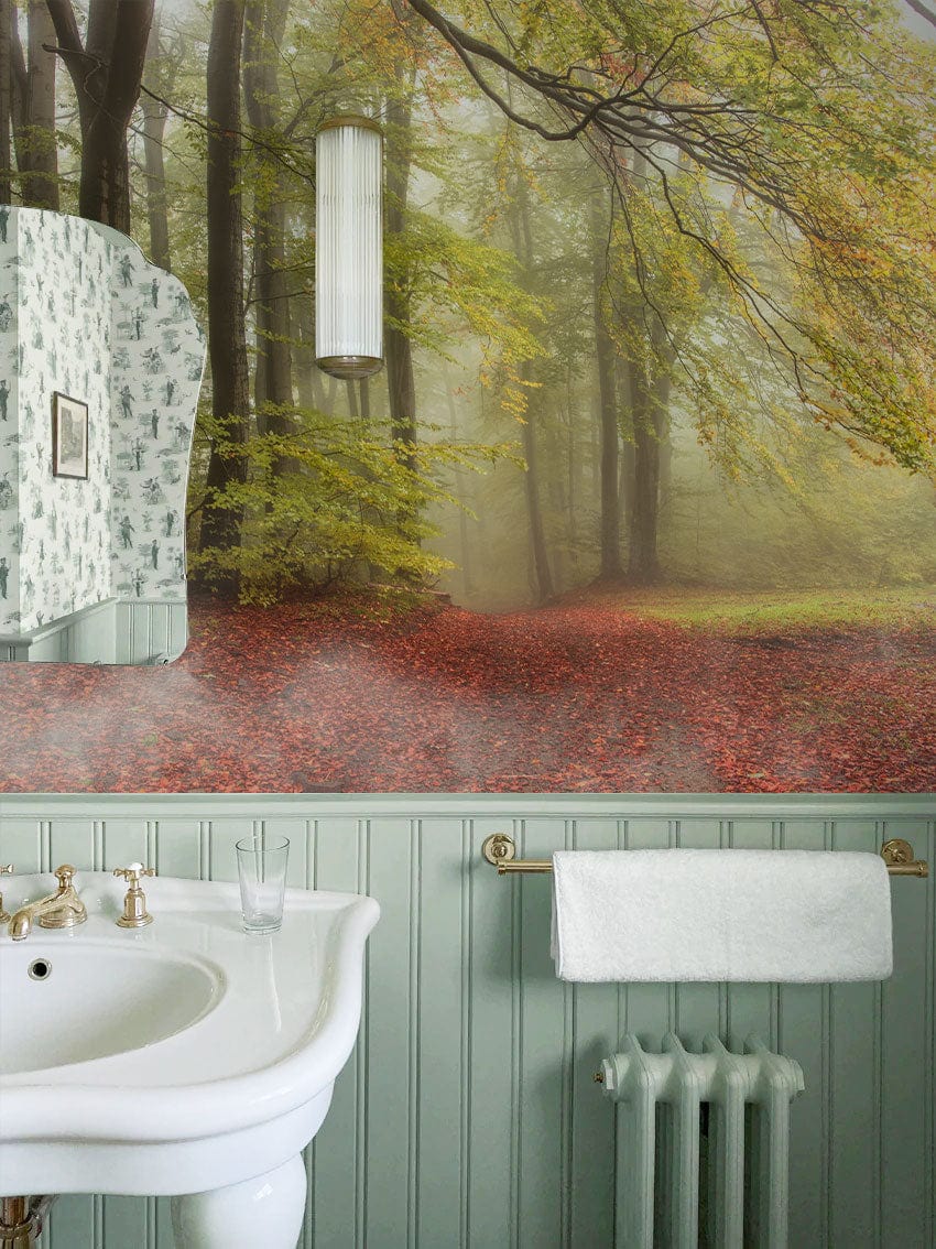 Papier peint mural Forêt en Automne - Le meilleur Papier peint panoramique Sur mesure