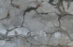 Élégance Futuriste avec le Papier Peint Mural Gris Bionique - Vignette | Mr Papier Peint