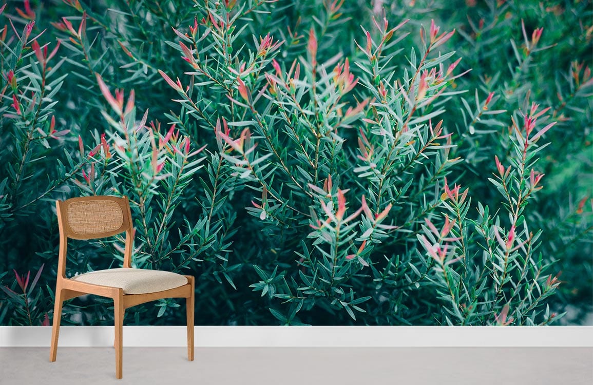 Papier peint mural Herbe fraîche - Le meilleur Papier peint panoramique Sur mesure