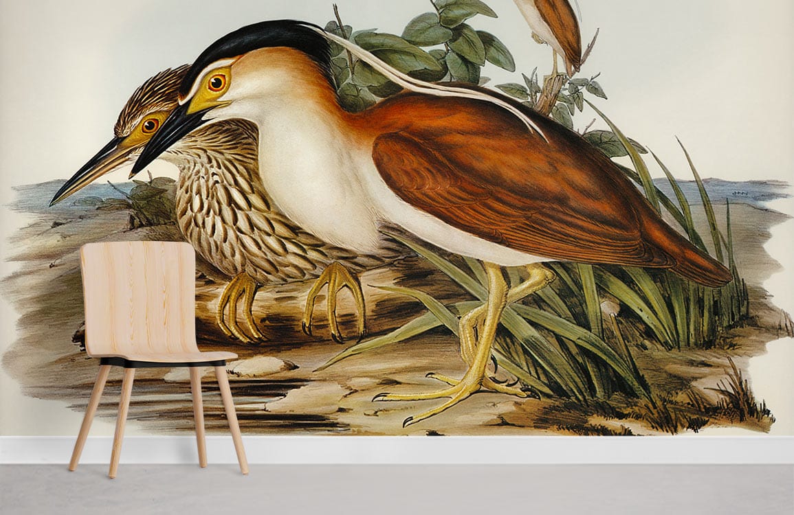 Peinture murale héron avec illustration vintage de deux hérons et feuillage