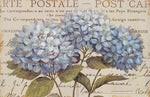 Papier Peint Mural Hortensia Bleu - Vignette | Mr Papier Peint