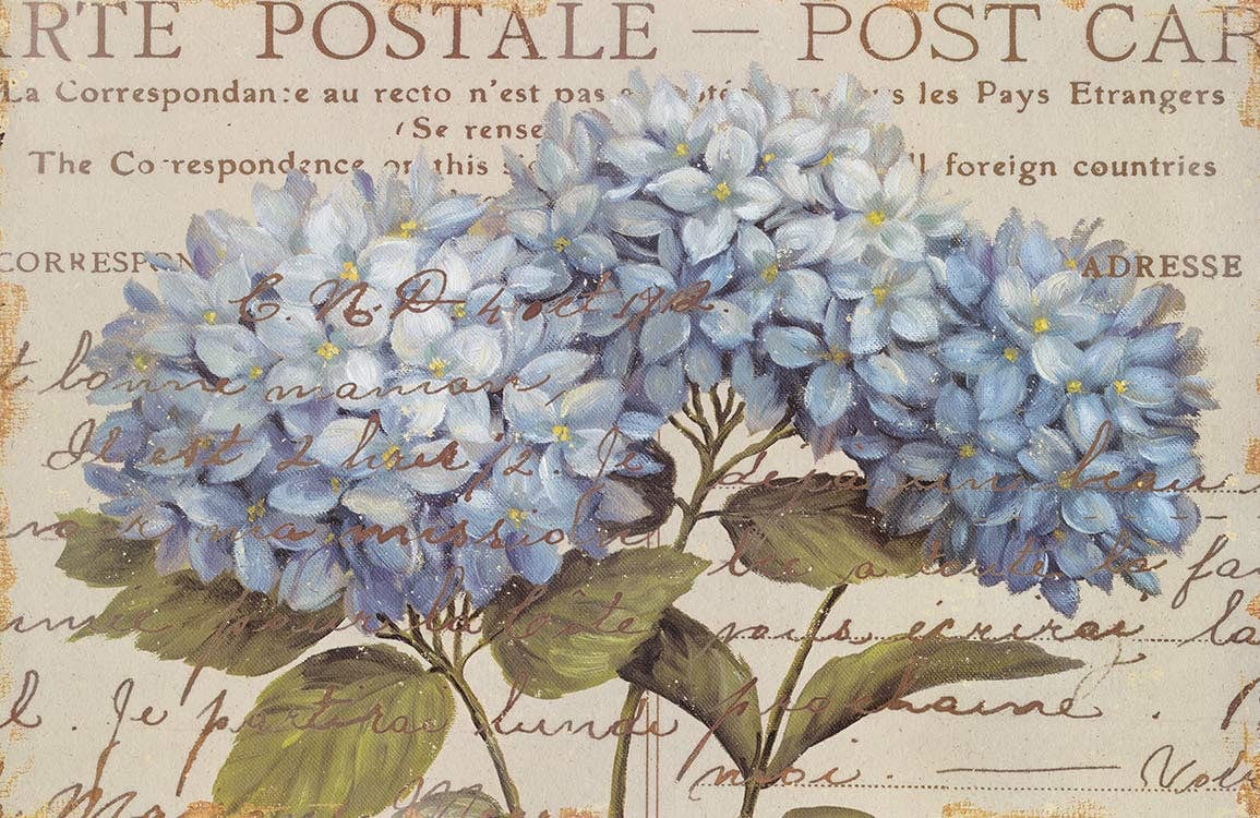 Papier Peint Mural Hortensia Bleu - Le meilleur Papier peint panoramique Sur mesure