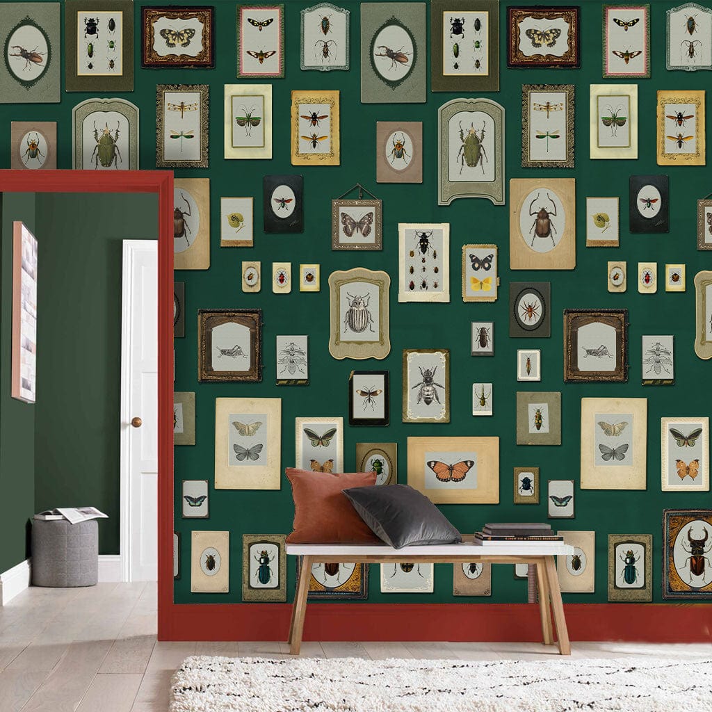 Papier Peint Mural II avec Motif d’Insectes Specimens - Le meilleur Papier peint panoramique Sur mesure