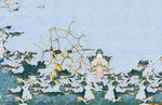 Papier Peint Mural Imitation Mur Écaillé Charme et Profondeur Authentique - Vignette | Mr Papier Peint