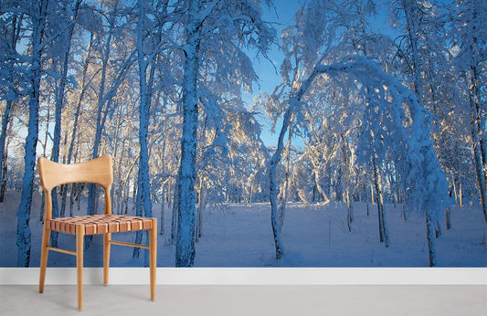 Chaise en bois avec siège en cuir tressé sur le papier peint mural Kiruna avant le coucher du soleil