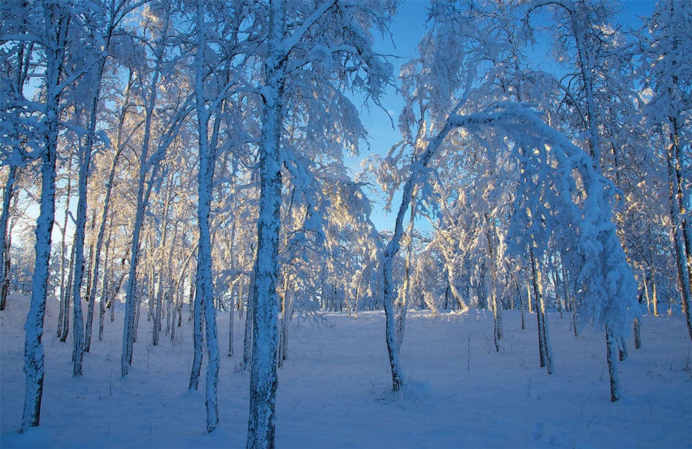 Papier peint mural Kiruna avant le coucher du soleil - Le meilleur Papier peint panoramique Sur mesure