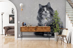 Papier peint mural Maine Coon - Vignette | Mr Papier Peint