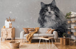 Papier peint mural Maine Coon - Vignette | Mr Papier Peint