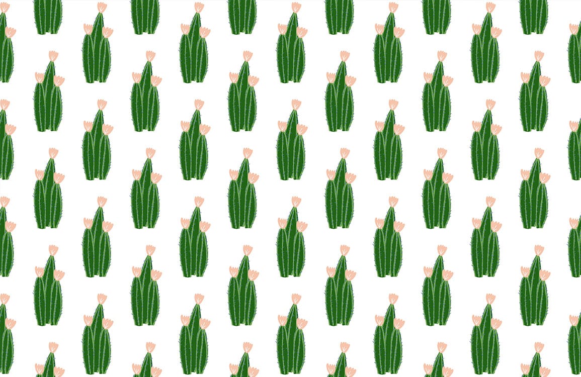 Papier peint mural mignon de cactus verts - Le meilleur Papier peint panoramique Sur mesure