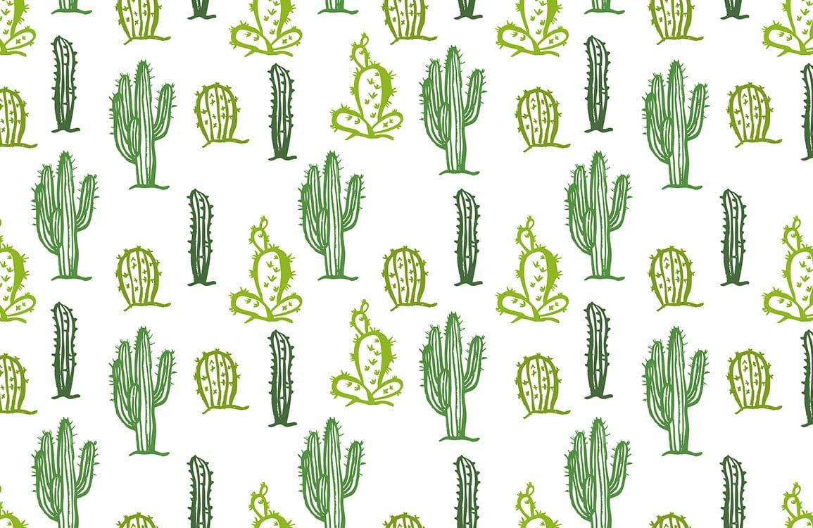 Papier peint mural motif cactus - Le meilleur Papier peint panoramique Sur mesure