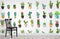Décor mural cactus peinture murale motif pot sur mur blanc avec chaise en bois noir