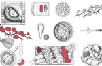 Papier peint mural motif vaisselle pour une cuisine pleine de poésie - Vignette | Mr Papier Peint