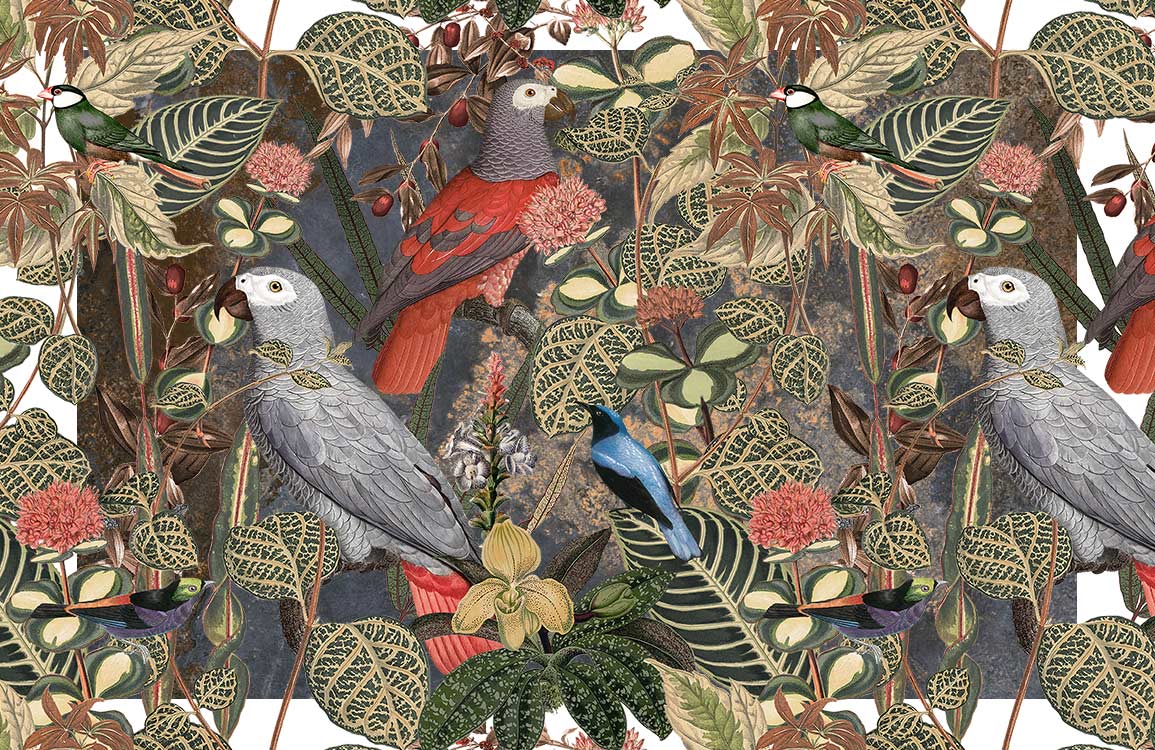 Papier peint mural Oiseau de la jungle - Le meilleur Papier peint panoramique Sur mesure