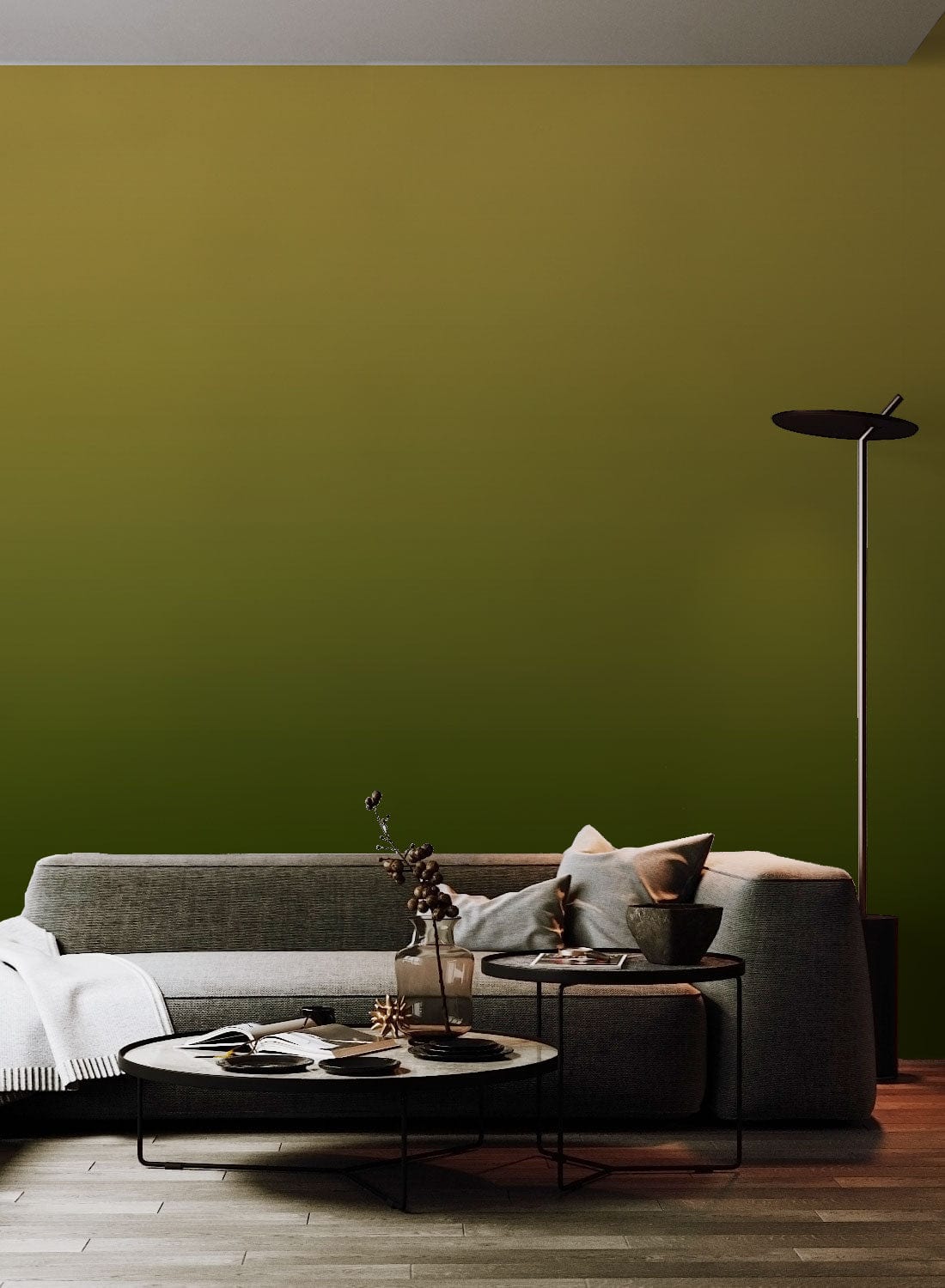Photo d’un salon moderne avec un canapé, mettant en valeur la peinture murale ombrée Émeraude